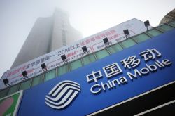 7分钟教程!黔东南政府网站消息_哔哩哔哩-2